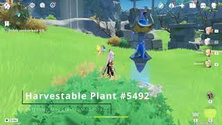 Harvestable Plant 5492 29156 5491 Mondstadt  Genshin Impact [upl. by Langley]