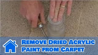 Carpet Cleaning amp Installation  How to Remove Dried Acrylic Paint from Carpet [upl. by Yelhak101]