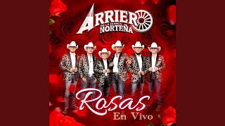 Rosas En Vivo [upl. by Cantu430]