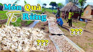 Đông Paulo  Món Quà Từ Rừng Sâu Đặc Sản Thiên Nhiên Đã Cứu Đói Nhiều Năm Cho Bà Con Bản Mới [upl. by Garrard57]