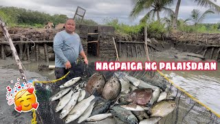 NAGPAIGA KAMI NG PALAISDAAN  PANANAID NG MGA ISDANG TILAPIA BANGUS AT KITANG [upl. by Nimrahc]