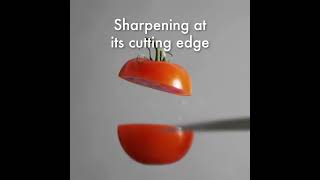 About Our VEdge Sharpener  ZWILLING [upl. by Eehtomit]