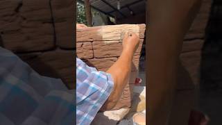 soloenevergreenjardineria aprendeencasa tutorialesdejardineria 2024 macetasdecemento [upl. by Lerad]