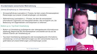 Wahrnehmungspsychologie 1  Grundlagen menschlicher Wahrnehmung [upl. by Freytag986]