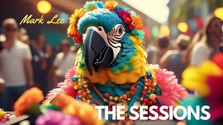 DJ Mark Lee  The Sessions  House Special Warm FeelGood latin vibes housemusic [upl. by Ahsenom]