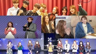 PART 2 Kriesha Chu 크리샤츄 with Other IdolsArtists Super Junior SNSD JBJ Ft Island etc [upl. by Win]