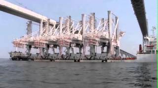 Cranes Under Chesapeake Bay Bridge [upl. by Cozmo928]