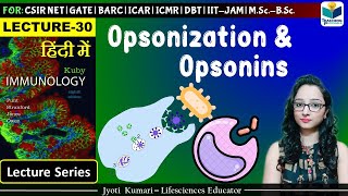 Immunology  Opsonization amp Opsonin  Lecture 30 [upl. by Stephani469]