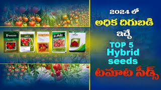 Top 5 Hybrid Tomato Seeds Telugu  Tamota Seeds Best Quality 2024  Tamato Cultivation [upl. by Nezam254]