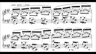 Chopin 24 Preludes Op28 Blechacz [upl. by Iruyas]