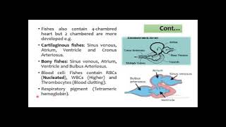 Fish Physiology [upl. by Divadnhoj994]