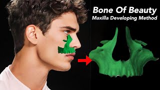 Maxilla The Bone Of Beauty Maxilla Developing Method Of Facial Growth [upl. by Wymore780]