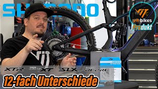 Shimano 12fach Mountainbike Gruppenunterschiede  Deore SLX XT und XTR erklärt [upl. by Nataniel]