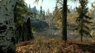 Skyrim Mods  Skyrim HD  2K Textures [upl. by Amilb]