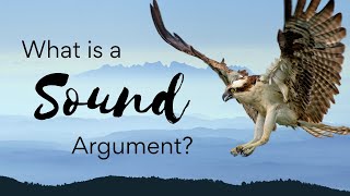 What is a Sound Argument  Deductive Soundness Explained [upl. by Kaile778]