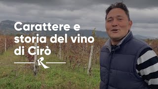 Cote di Franze Cirò Calabria  carattere e storia del vino di Cirò  Rimessa Roscioli [upl. by Yaluz]