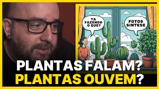 PLANTA FAZ ISSO O QUE DIZEM OS ESTUDOS [upl. by Manvell374]