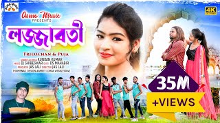 FIRE AAIফিরে আইNEW SHIKARI SAD SONG 2022SHIKARIPURULIA [upl. by Annoynek]