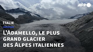 Au chevet de lAdamello le plus grand glacier des Alpes italiennes  AFP [upl. by Elohcim275]