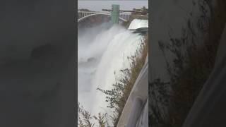 Mother 2 children dead in Niagara Falls shorts shortsvideo [upl. by Whalen964]