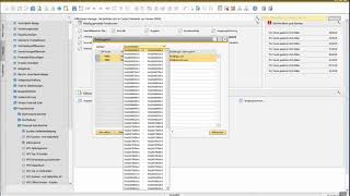 Bericht Zahlungsavis in SAP Business One [upl. by Anaitsirc]