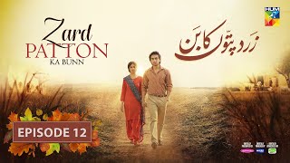 zard pattoo ka bunn Episode 12 reviewZard Patton Ka Bunn  Episode 12 CC  28 July 24 [upl. by Radnaxela912]