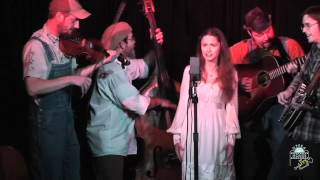 Hillbilly Gypsies at Opera House LIVE [upl. by Negem272]