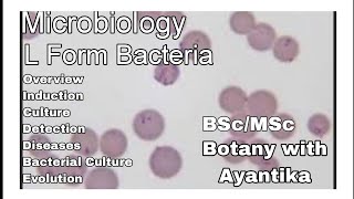 L  form Bacteria [upl. by Claman]