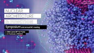 Nathalie Bastié quotMechanisms controlling the translocase activity that establishes cohesinquot  INC [upl. by Enyrhtak]