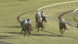 Yeppoon 05082023 Race 5 [upl. by Shiroma]