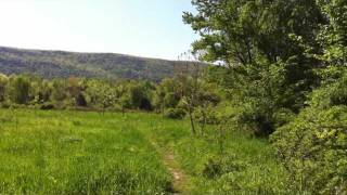 Appalachian Trail Pochuck Boardwalk to Pinwheel Vista [upl. by Sheree]