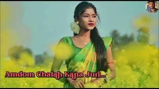 Amdom Chalah Kana Juri II New Santali Traditional Song 2024 [upl. by Damien]