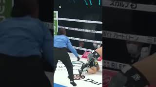 KOSEI TANAKA VS PHUMELELE CAFU Cafu Bikin Tanaka Merangkak shortsfeed shortsboxing SABoxing [upl. by Oiramed]