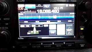 Yaesu FTdx3000 Vs Icom 7300 CW 17 meters 150 hz narrow  IW2NOY [upl. by Hamachi]