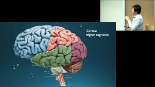 Dr Octavio Choi presents Brain Basics An Introduction to Cognitive Neuroscience [upl. by Acinoev563]