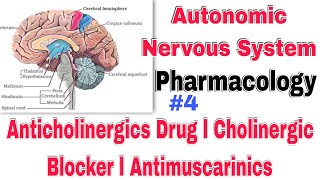 anticholinergic drug classification in Hindi। Cholinergic Blocker Antimuscarinics drugs [upl. by Dianthe]