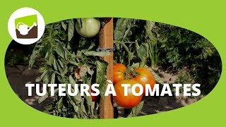 Piquets de tomates en bois avec son cône anti pourrissement  un tuteur tomate ingénieux et durable [upl. by Albion601]