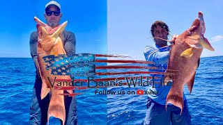 HUGE HOGFISH Catch Clean and Cook  in Lemon Butter A Team Effort [upl. by Spieler673]