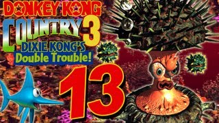 DONKEY KONG COUNTRY 3 🦍 13 Barbos spitze Stacheln [upl. by Sand]