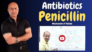 Penicillin  Antibiotics  Mechanism of Action  Pharmacology💊 [upl. by Tniassuot]