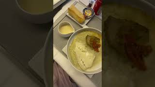 Reviewing Air France Business Class travel europe [upl. by Adnahcir737]