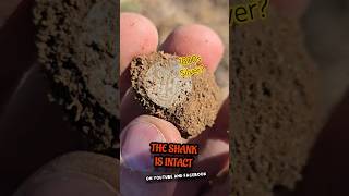 Old Coin found in Virginia  History Shorts  Please Subscribe metaldetecting dirtfishing [upl. by Templas835]