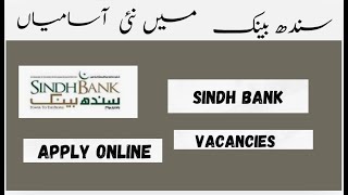 Sindh bank vacancies [upl. by Khalid186]