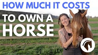 HOW MUCH DOES IT COST TO OWN A HORSE DETAILED COST GUIDE 💰 [upl. by Mills]