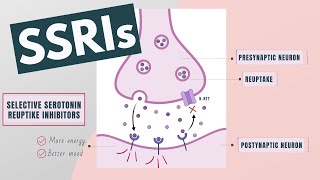 Selective Serotonin Reuptake Inhibitors SSRIs  Indications mechanism side effects [upl. by Ingraham]