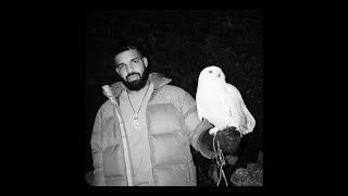 FREE Drake Sample Type Beat  quotOwl Freestylequot [upl. by Genie195]