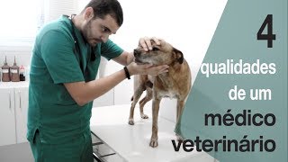 Quer ser veterinário Veja esse vídeo antes [upl. by Philine]