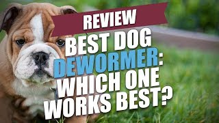 Best Dog Dewormer Review Which One Works Best [upl. by Majka467]