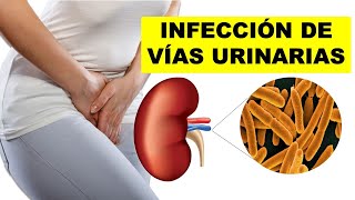 INFECCIÓN de VÍAS URINARIAS  Síntomas Causas y Tratamiento ¿Cómo CURAR las INFECCIONES URINARIAS [upl. by Marj]