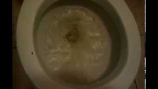 Eljer washdownstyle toilet Im back [upl. by Oly]